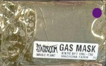 StaticRoom Gas Mask Static Sift 139u – 75u Whole Plant | Machona Farms