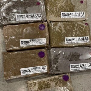 StaticRoom Jungle Cake Static Sift 139u – 73u Garden Series | Maconha Farms – 2Oz Bar