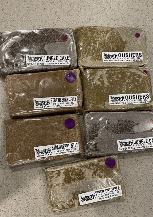 Jungle Cake StaticRoom Purple Indoor bar cured cold